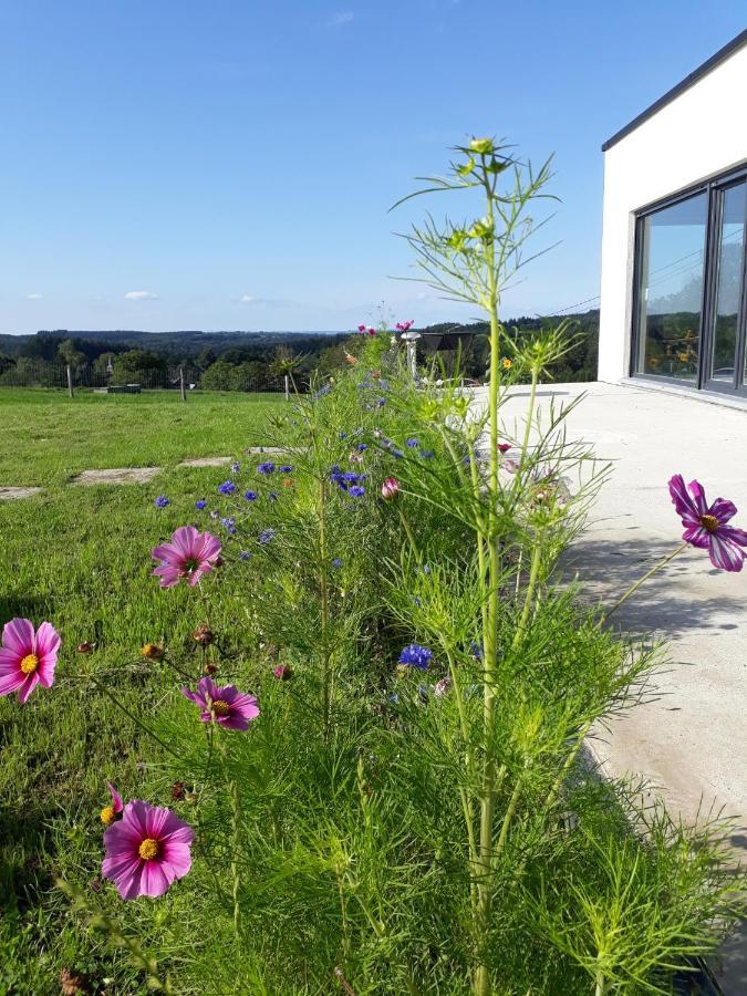 L'Harmonie Du Jardin Gite シュヴトーニュ エクステリア 写真